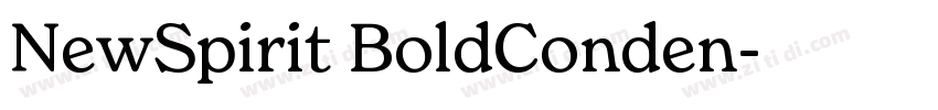 NewSpirit BoldConden字体转换